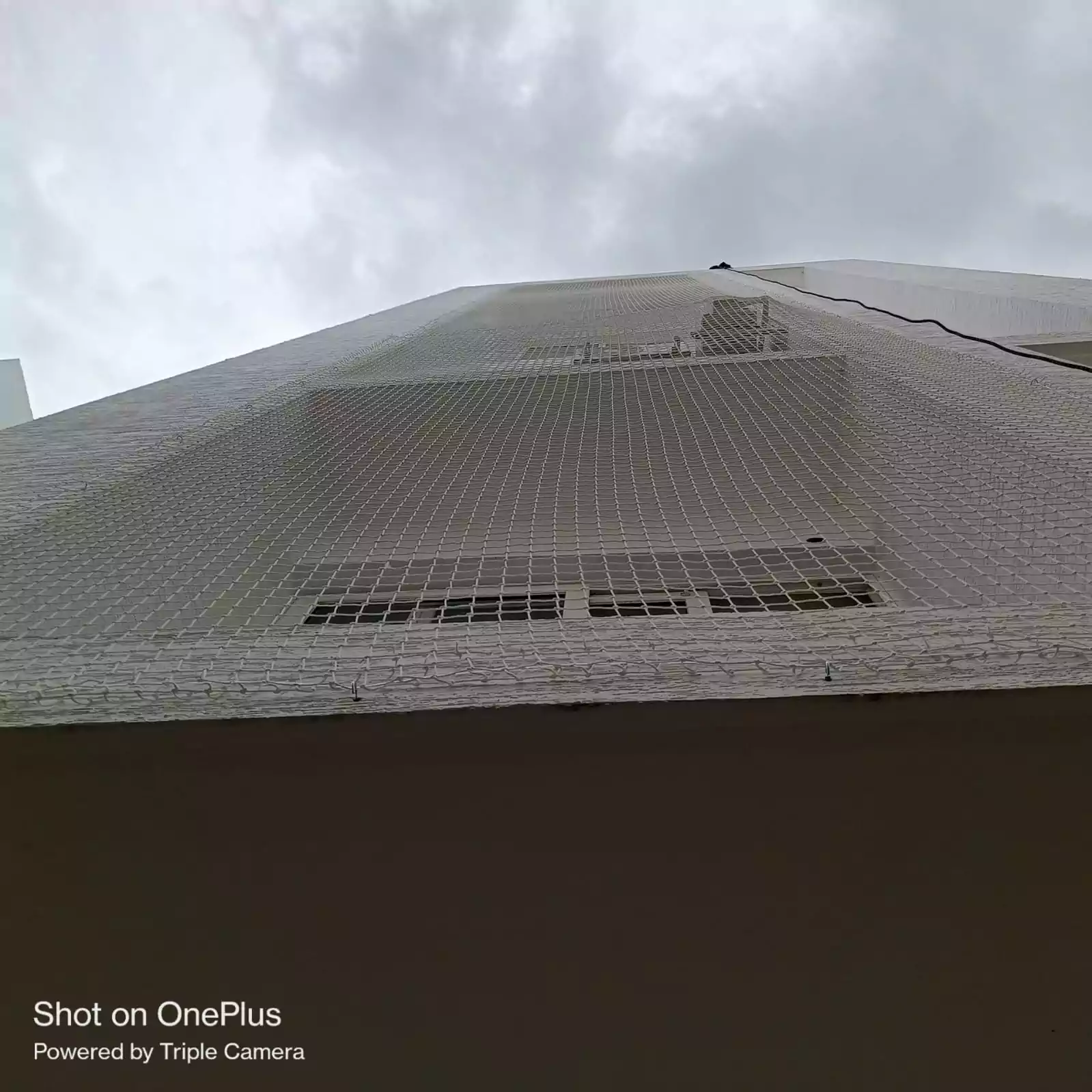 Install Bird Netting Gallery